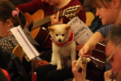 offener-gitarren-workshop