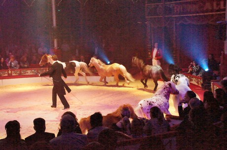 premiere-cirkus-roncalli