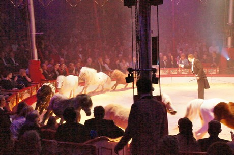 premiere-cirkus-roncalli