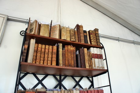 rheinlesen