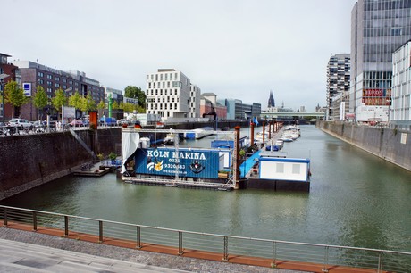 rheinlesen