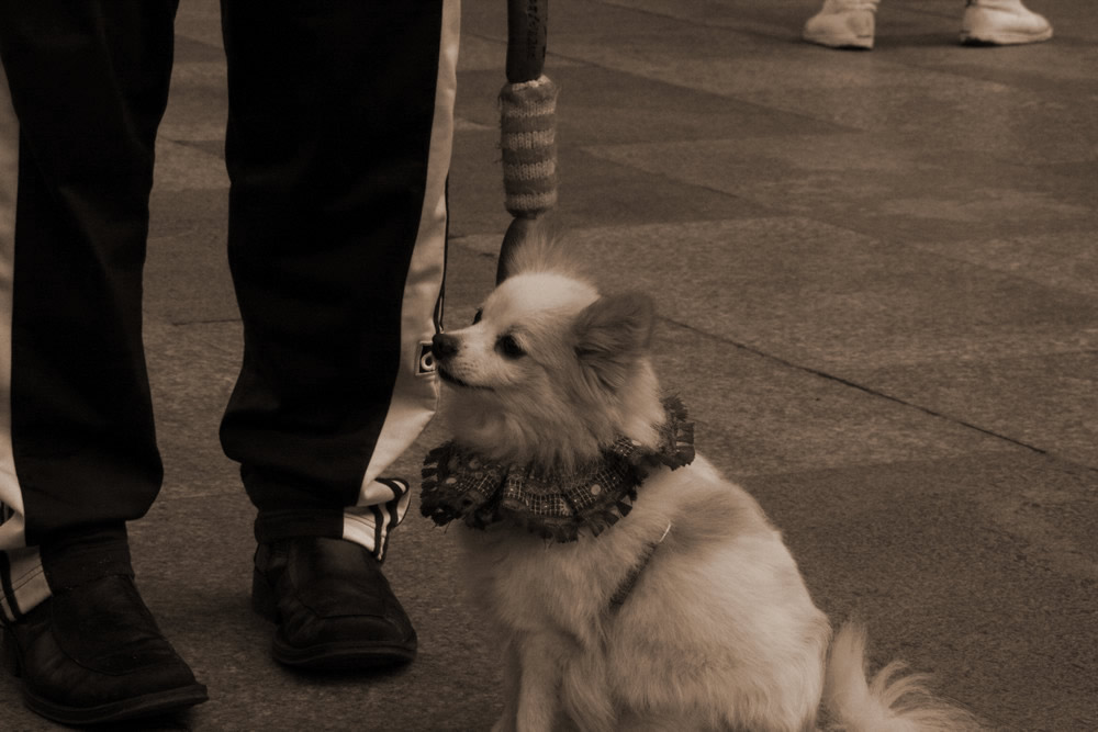 besucher