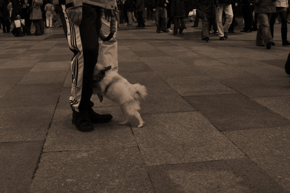 besucher