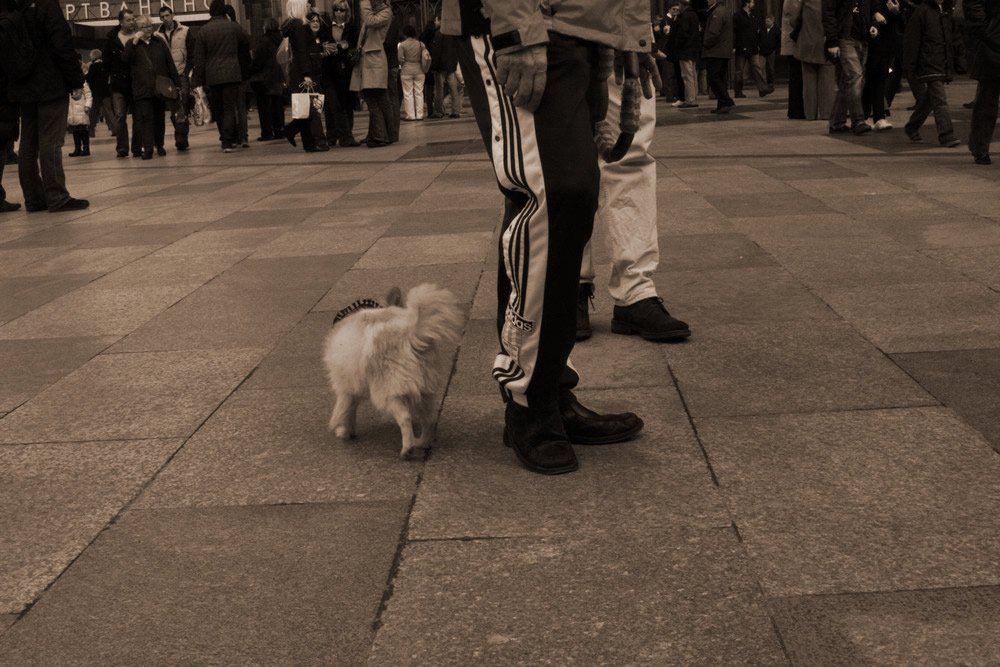 besucher