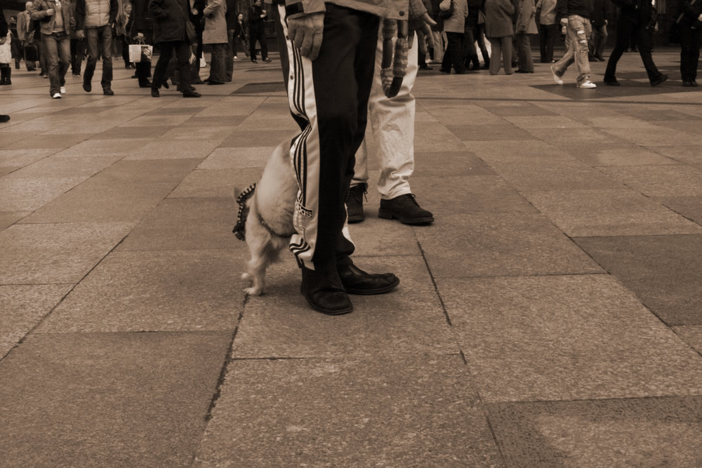 besucher