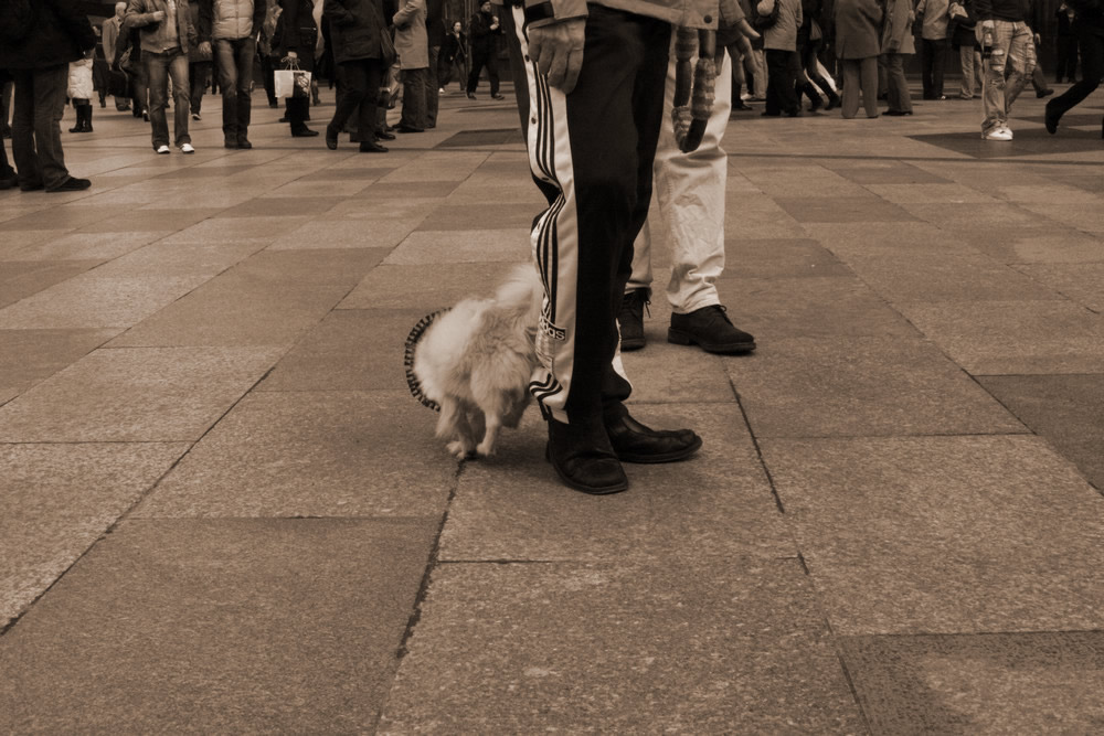 besucher