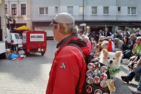 die-linke