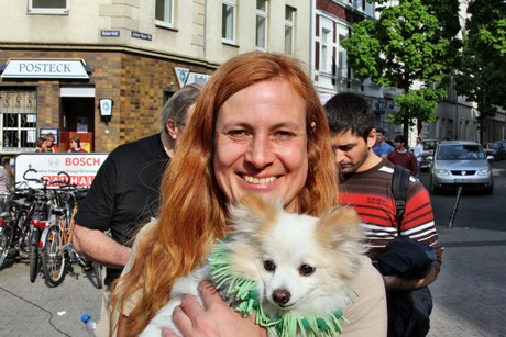 die-linke