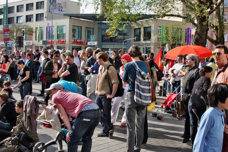 die-linke