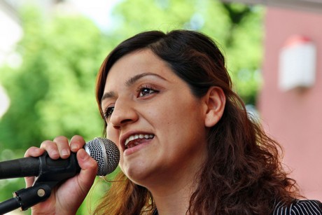 die-linke