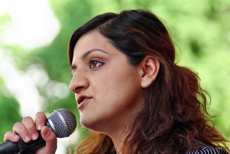 die-linke