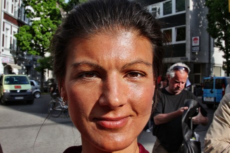 die-linke