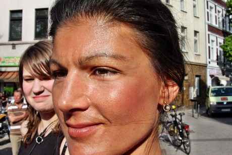die-linke