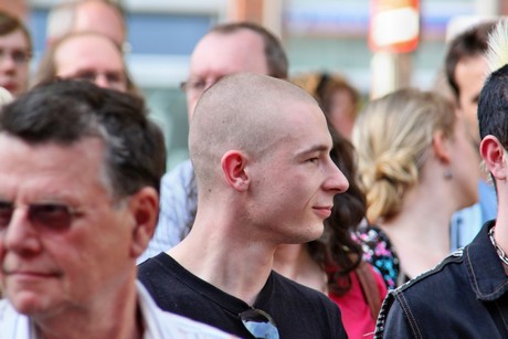 die-linke