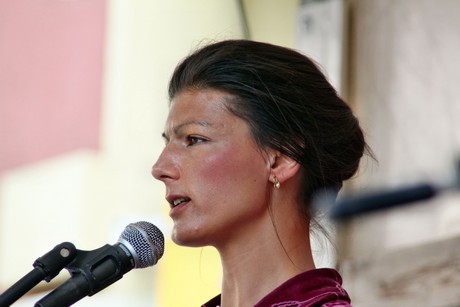 die-linke