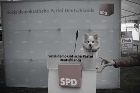 wahlkampf