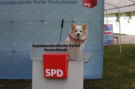 wahlkampf