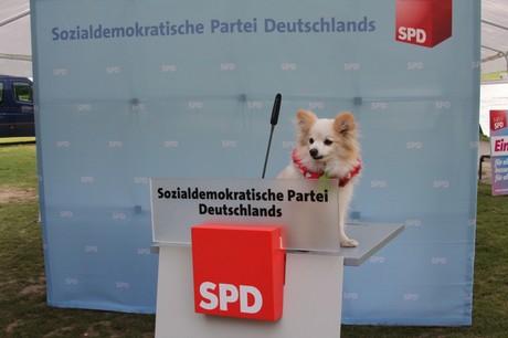 wahlkampf