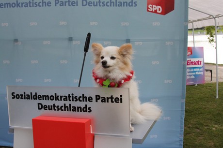 wahlkampf