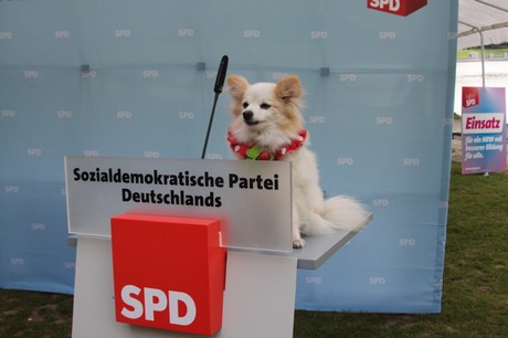 wahlkampf