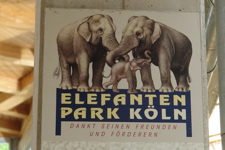 elefanten-park