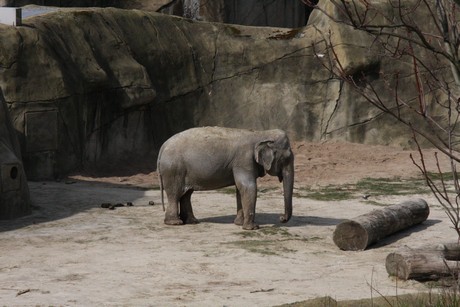 elefanten-park