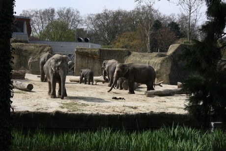 elefanten-park