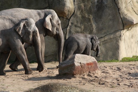 elefanten-park