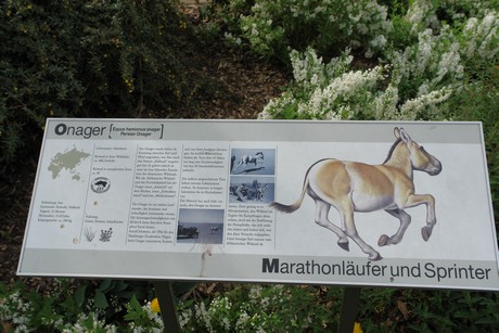 zoo