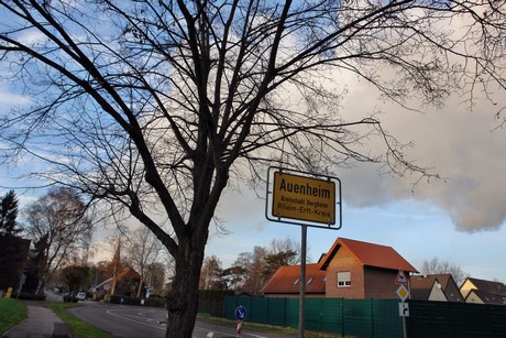 auenheim