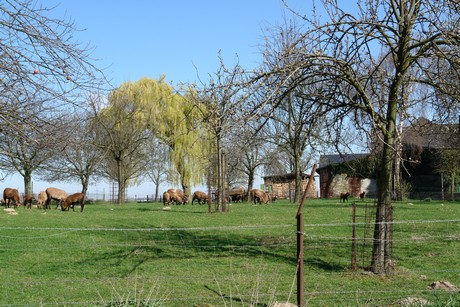 huechelhoven