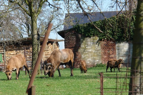 huechelhoven