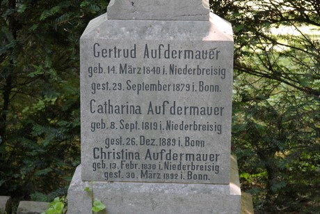 alter-friedhof