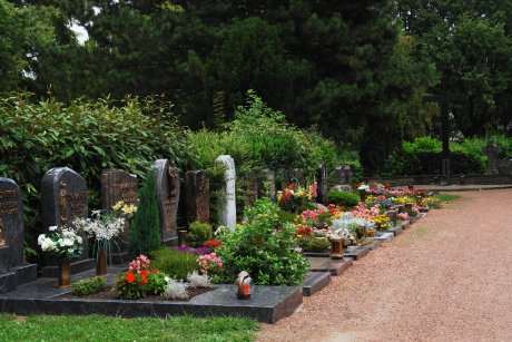 friedhof