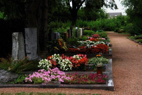 friedhof