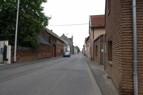 widdig