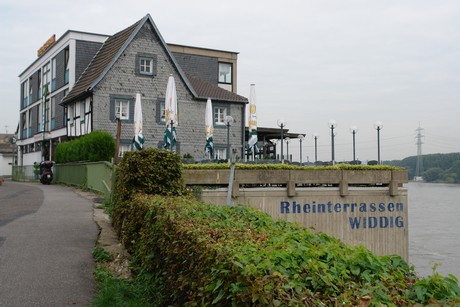 widdig