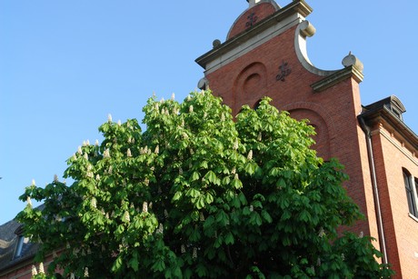 bruehl