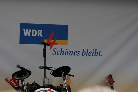 wdr4