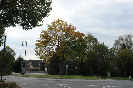 heppendorf