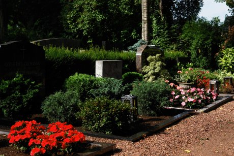 friedhof