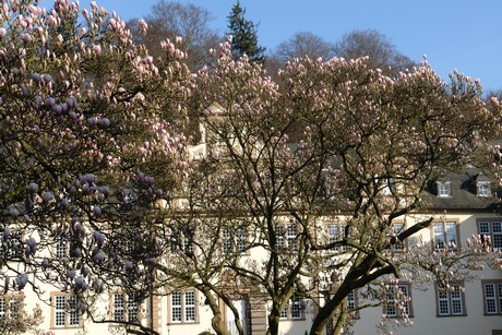 schloss-ehreshoven