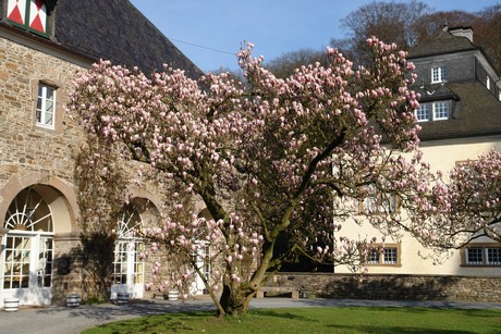 schloss-ehreshoven