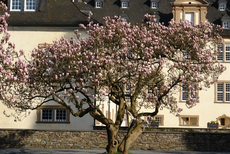 schloss-ehreshoven