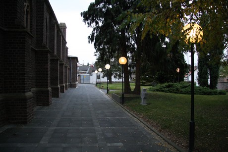 friesheim-am-abend