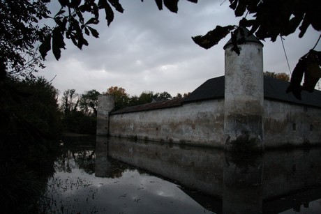 friesheim-am-abend