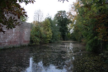 friesheim-am-abend