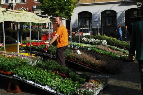 lechenich-markt