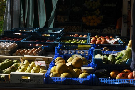 lechenich-markt