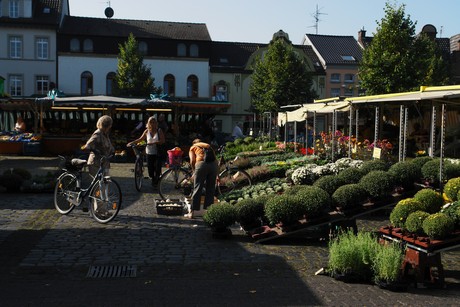 lechenich-markt